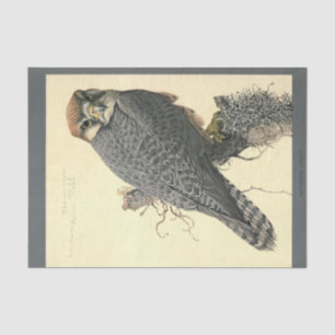 Bird Ephemera Decoupage Falcon Tissue Paper