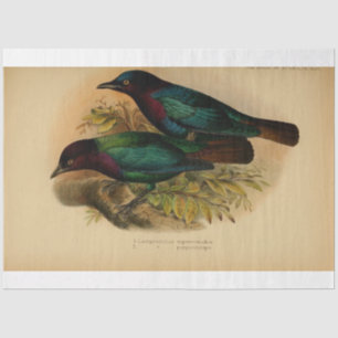 Bird Ephemera Decoupage Purple Teal Tissue Paper