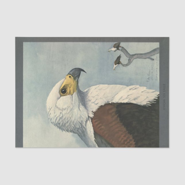 Bird Ephemera Decoupage Sea Eagle Tissue Paper (Front)