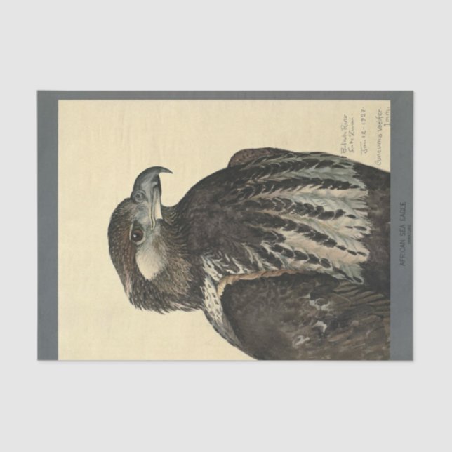 Bird Ephemera Decoupage Sea Eagle Tissue Paper (Front)