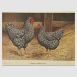 Bird Ephemera Decoupage Vintage Rooster Hen Barn Tissue Paper