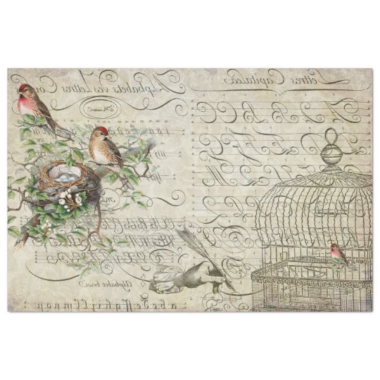 Bird Ephemera Transfer Sheet | Zazzle.co.nz