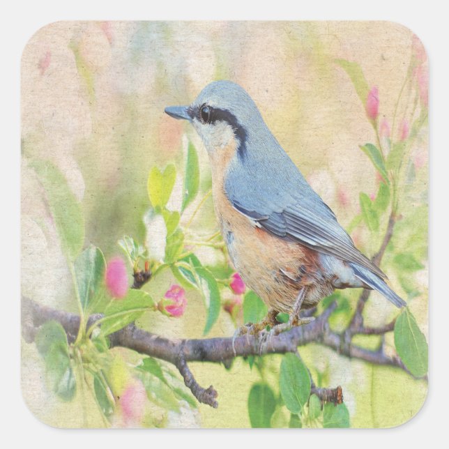 Bird Fanatic Square Sticker (Front)