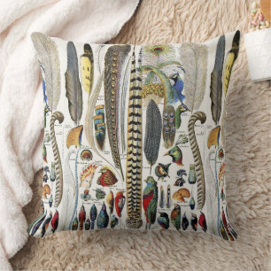 Bird Feather Wildlife Antique Feathers Art Nouveau Cushion