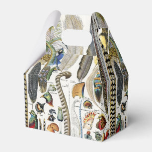 Bird Feather Wildlife Antique Feathers Art Nouveau Favour Box