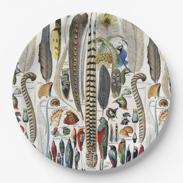 Bird Feather Wildlife Antique Feathers Art Nouveau Paper Plate (Front)