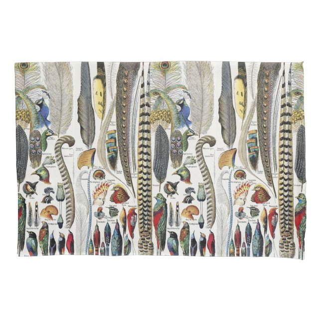 Bird Feather Wildlife Antique Feathers Art Nouveau Pillowcase (Front)