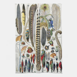 Bird Feather Wildlife Antique Feathers Art Nouveau Tea Towel