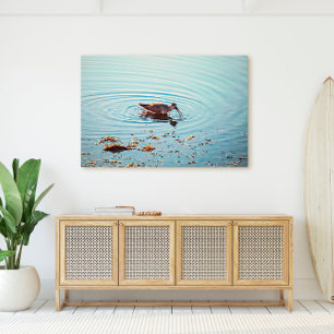 Bird Feeding at Sunset Key West Florida Canvas Print