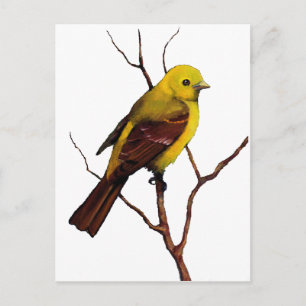 Bird: Female Western Tanager: Original Art Postcard