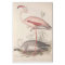Bird Flamingo Ephemera Decoupage