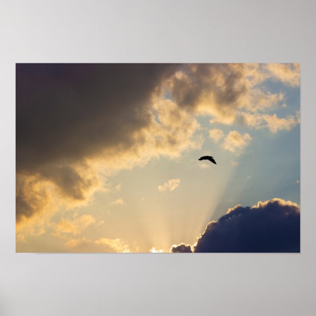 Bird Flying at Sunset Poster (Front)