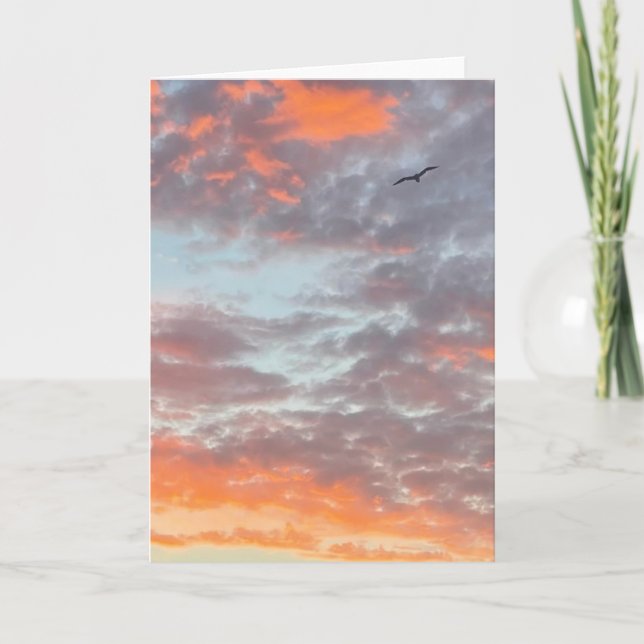 Bird Flying Pink Clouds Sky Photo Card (Front)