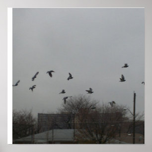 Bird Flying Poster