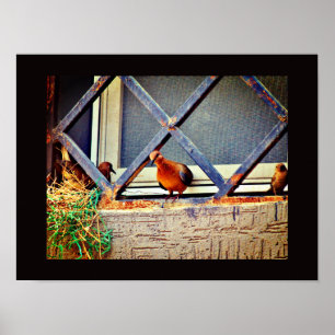 Bird Friends Poster