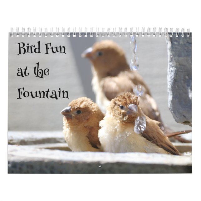 Bird Fun at the Fountain Calendar (Cover)