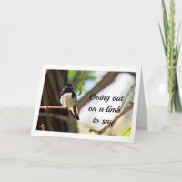 BIRD GOES OUT ON A LIMB TO SAY HAPPY 50th BIRTHDAY