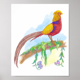 Bird Golden Pheasant Poster