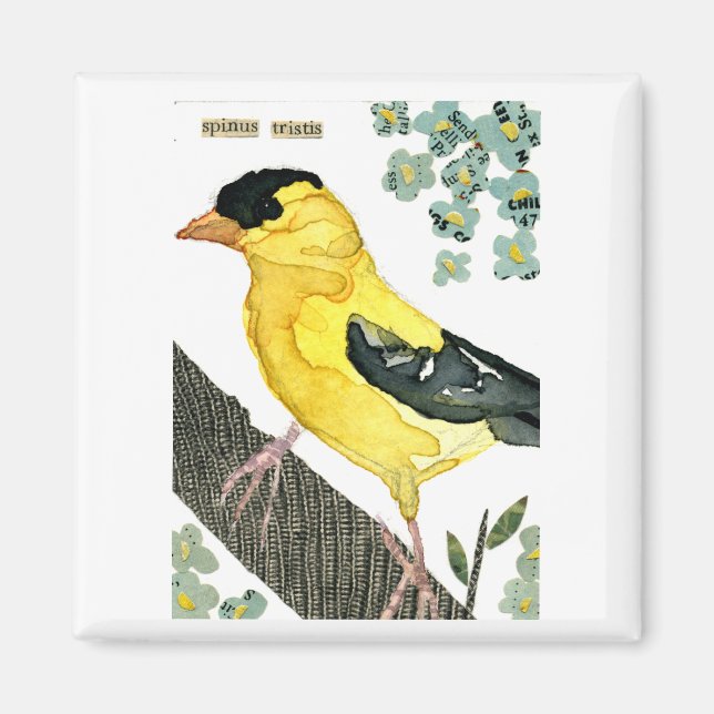 Bird: Goldfinch Magnet (Front)