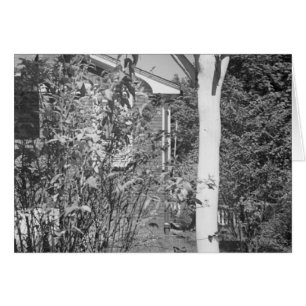 Bird house in garden