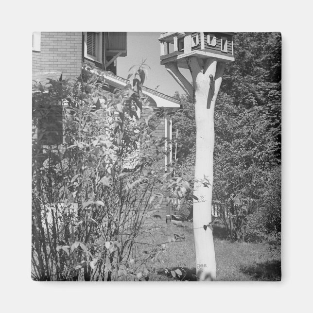 Bird house in garden magnet (Front)