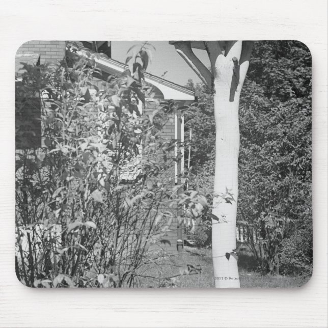 Bird house in garden mouse pad (Front)