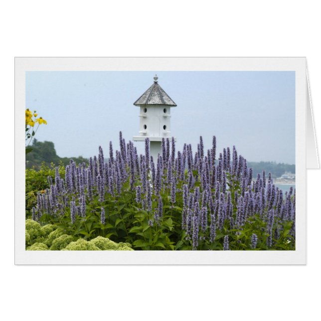 Bird House in Maine (Front Horizontal)