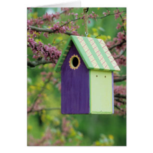 Bird House On A Redbud Tree