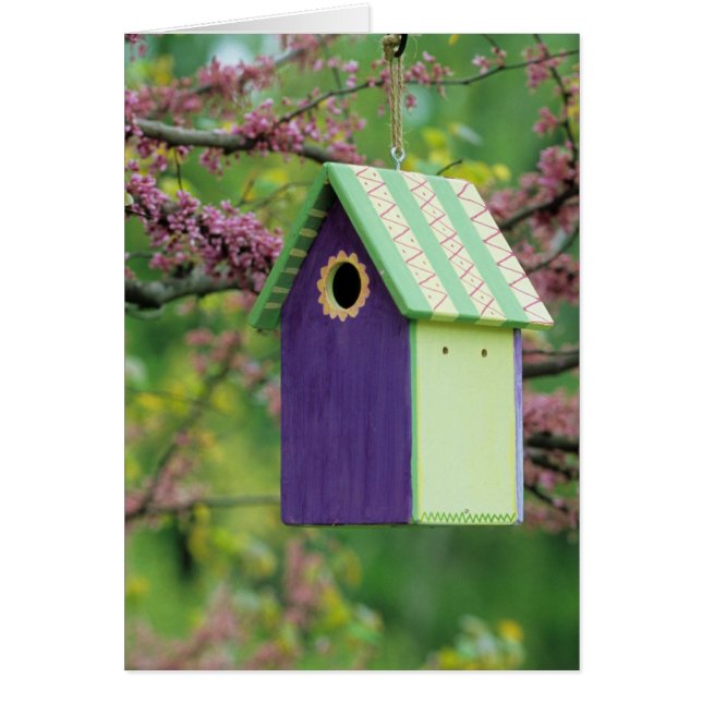 Bird House On A Redbud Tree (Front)