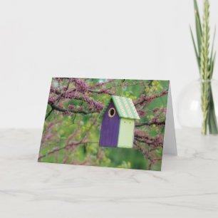 Bird House On A Redbud Tree Card