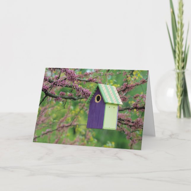 Bird House On A Redbud Tree Card (Front)