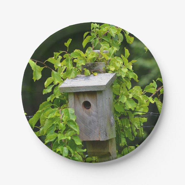 Bird House Paper Plate (Front)