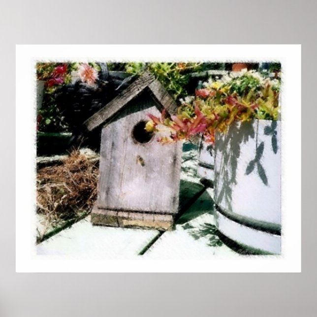 Bird House Poster (Front)