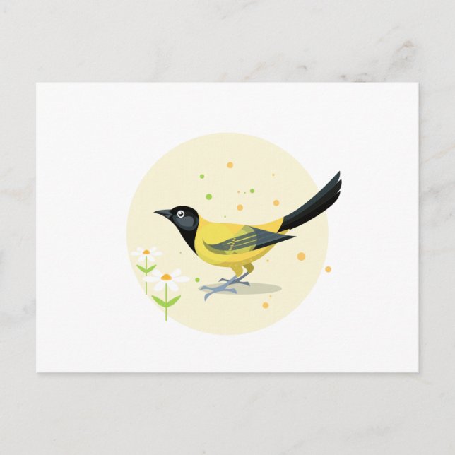Bird illustration postcard (Front)