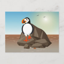 Bird illustration - The Puffin a coastal seabird