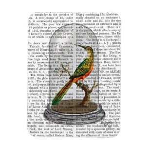 Bird In Bell Jar Magnet