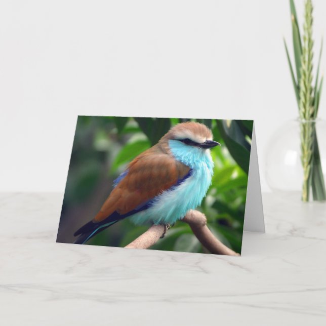 Bird In Blue Card (Front)