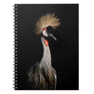 BIRD IN BRAZIL NOTEBOOK