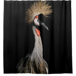 BIRD IN BRAZIL SHOWER CURTAIN