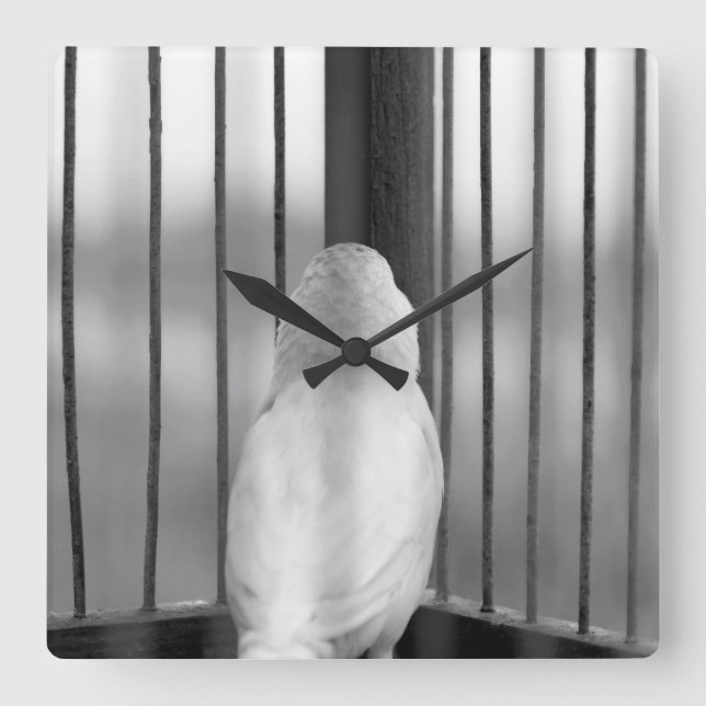 Bird in Cage Square Wall Clock (Front)