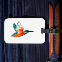 Bird in Flight Flying Kingfisher