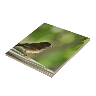 Bird in green leaves background tile