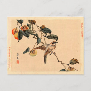 Bird in PersimmonTree Postcard