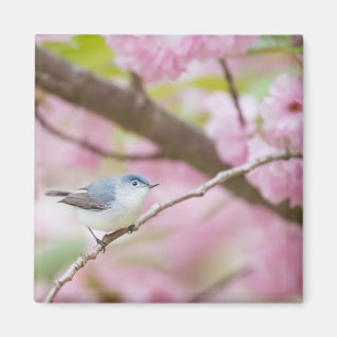 Bird in Pink Blossom Tree Magnet