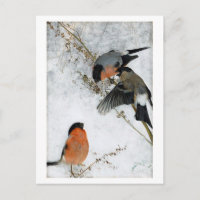 Bird in Snow, Bruno Liljefors