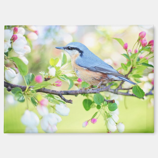 bird in spring magnet (Front)