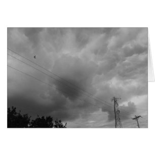 Bird in the Cloudscape / Noir