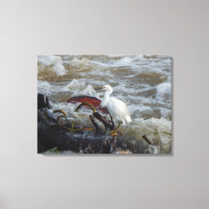BIRD IN THE WILD #1 ON CANVAS 20 "x 16" Print
