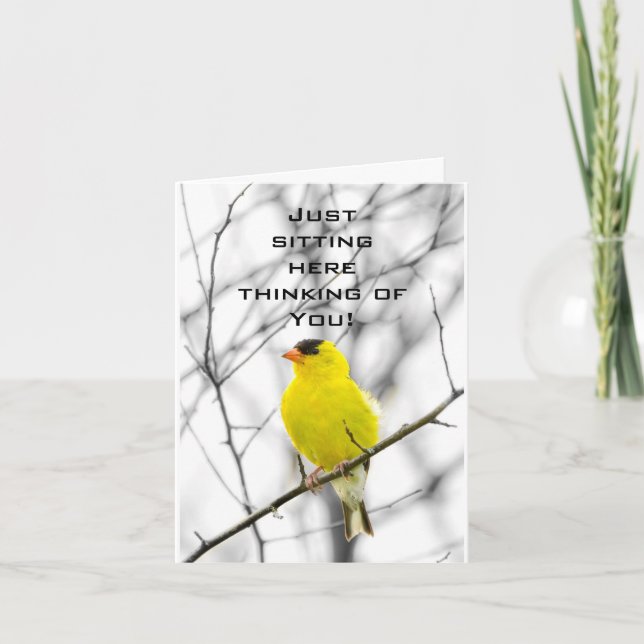 BIRD IN TREE IS HAPPY AS CAN BE CARD (Front)