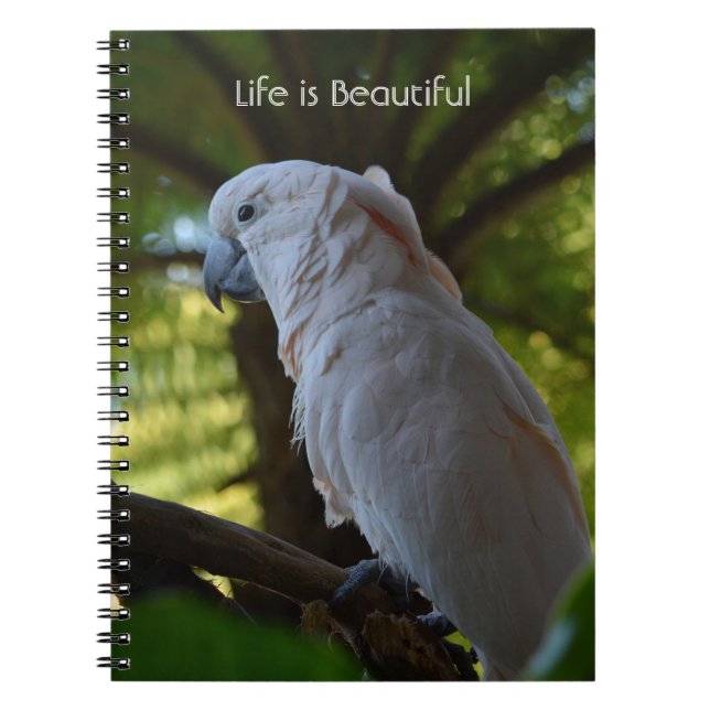 Bird in Tree Kauai (my photography) Notebook (Front)